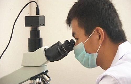 ����鿴��ϸ��Ϣ<br>���⣺���ݳ�ò �Ķ�������4965