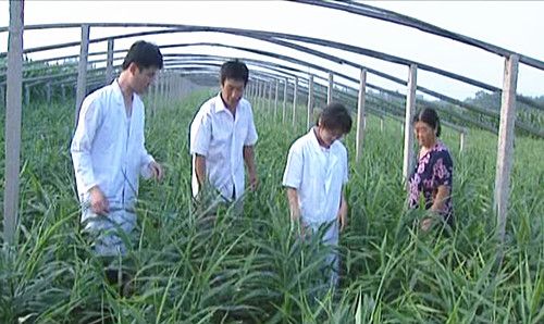 ����鿴��ϸ��Ϣ<br>���⣺���ݳ�ò �Ķ�������5118