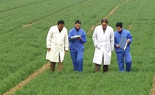 ����鿴��ϸ��Ϣ<br>���⣺���ݳ�ò �Ķ�������4878