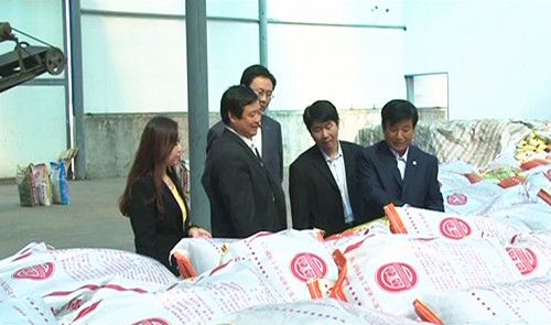 ����鿴��ϸ��Ϣ<br>���⣺���ݳ�ò �Ķ�������5353